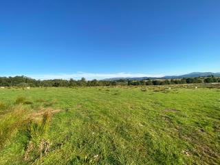 Gartclach-Uk40001 - 6