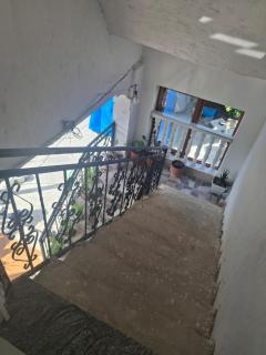 Aleksander house - 9