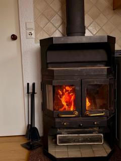 Urige Berghütte mit Kamin und Sauna im Erzgebirge nahe Schwarzwassertal - 5