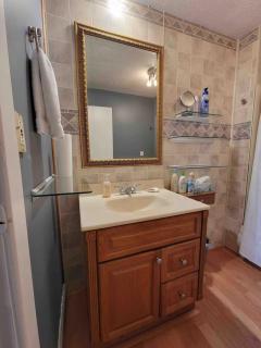 Near Lucas Oil ,large yard, Sleeps 6, pet friendly - 4