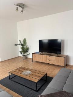 Apartment in Linz - 0