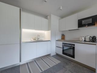 Appartement moderne à Chamonix avec parking et wifi - FR-1-343-265 - 6
