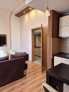 Apartmani DEA Zoned Kopaonik - 4