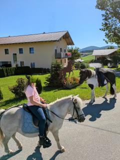 Ponyhof Adam Urlaub auf dem Bauernhof - 0