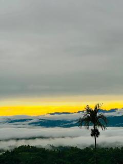 Himaloy Resort - 4