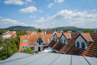 Naturální vinařství DVOREK - Penzion, Bistro & Wellness - 6