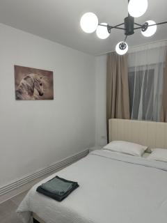 Delux Apartament - 2