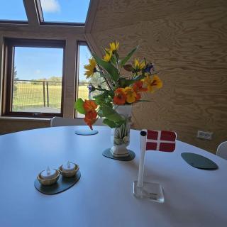 Flagspætten - 6