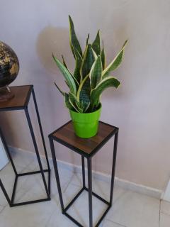 Fede & Anto's Home - 5