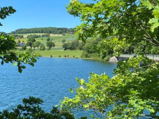 Fewo Biederbick am Diemelsee - 2