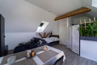 Appartement tout confort proche Europa-Park - 2