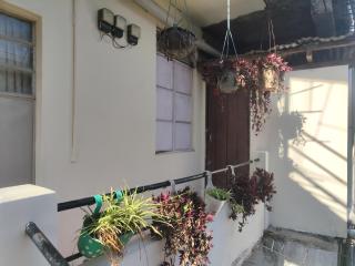 Greenwood Homestay Shillong - 2