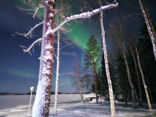 Red Fox Wilderness Cabin & Northern Lights - 8