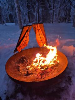 Red Fox Wilderness Cabin & Northern Lights - 1