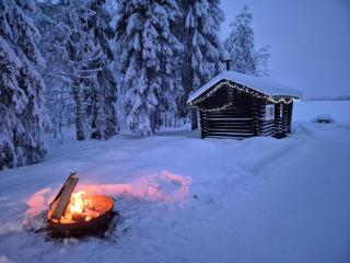 Red Fox Wilderness Cabin & Northern Lights - 0