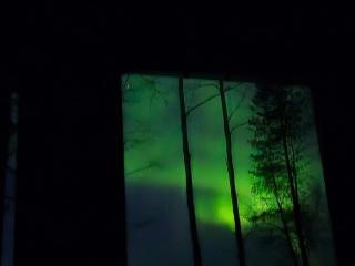 Red Fox Wilderness Cabin & Northern Lights - 3