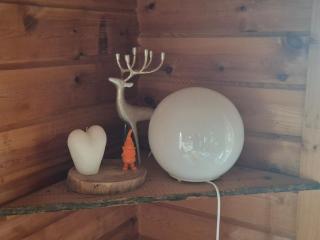 Red Fox Wilderness Cabin & Northern Lights - 6
