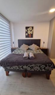 Apartamento de 1D1B en Santiago Centro - 5