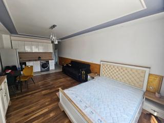 Luxury Apartment NSA one bedroom - 0