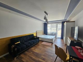 Luxury Apartment NSA one bedroom - 6