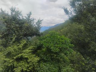 Garur Ganga Resorts & Heritage - 7