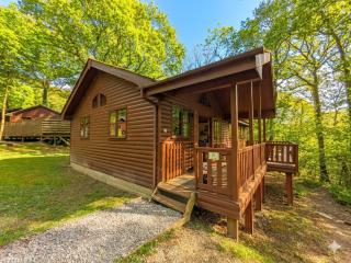 Acorn Lodge A cosy log cabin in a beautiful woodland setting - 0