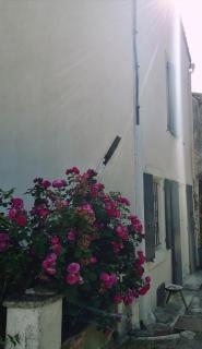 La Coulée Douce - Chez Antoine - 2