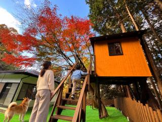 小路裏園 Kojiuraen - 6