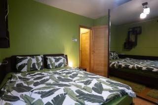 Green Apartment - 1