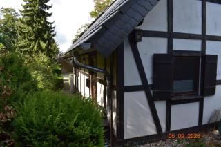 Forest Lodge - 5
