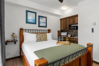 Slopeside Mountain Studio with Hot Tub and Gym - 3
