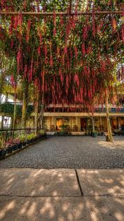 Tranquil valley resort and anna homestay - 9