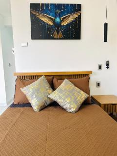 Loft Colibri Zona Centro en Aguascalientes - 0