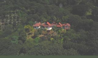 Retreat Yourself RevelaRetreats Costa Rica - 9