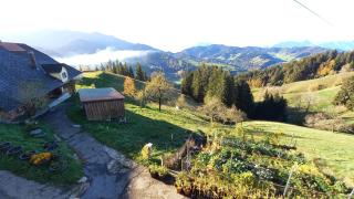 Pension-Brach - 9
