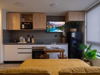 Santiago Centro I 1D1B I Hospitales - 2