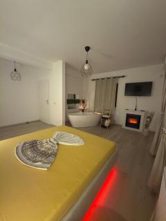 Luxury Studio Craiova -Fireplace & Bathtub - 4