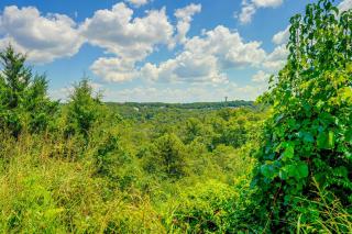 Perfect Location! Amazing Views & Close to it ALL! - 7