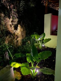 Suite Ébène Caraïbes - 1