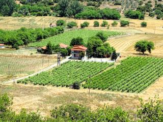 Gortsouli Vineyard House GVH Good Vibes Here - 0