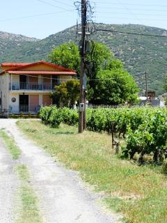 Gortsouli Vineyard House GVH Good Vibes Here - 4