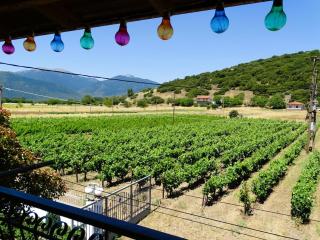 Gortsouli Vineyard House GVH Good Vibes Here - 1
