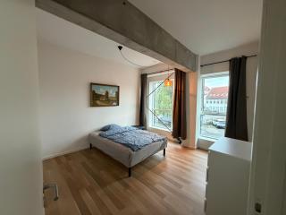 37-1-1 City Apartment Dæmningen - 0