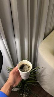 شقة غرفة وصالة - 2