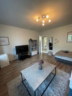 Guest first apartment - 8