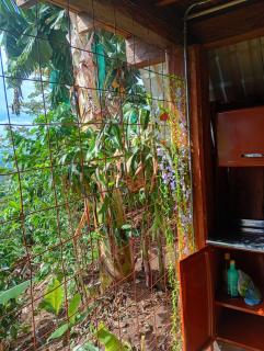 Glamping cordilleras del café - 8