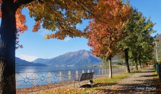 Cds Mattia - Spettacolare Vista Lago Como & Garden - 2