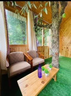Lily cozy cabin - 4