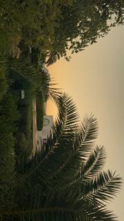 Casa del Mar - Dar Al bhar - 4