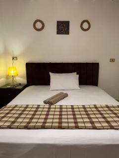 Sina Houses-one bedroom apartment - 9
